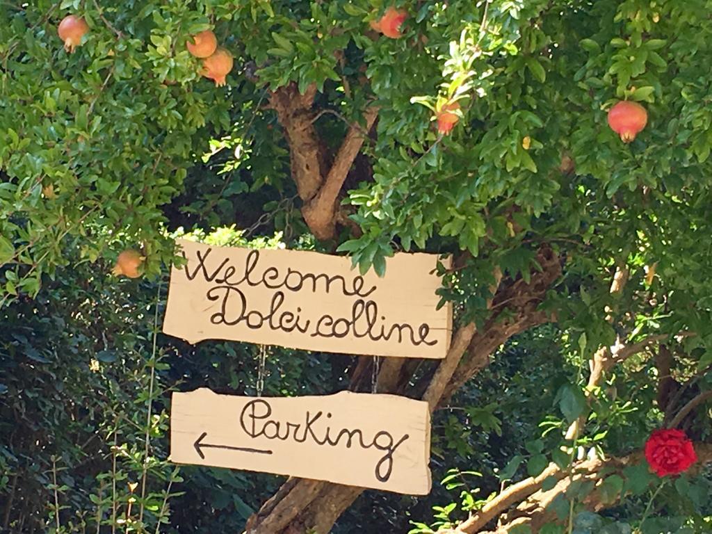 Borgo Dolci Colline Βίλα Καστιλλιόν Φιορεντίνο Εξωτερικό φωτογραφία